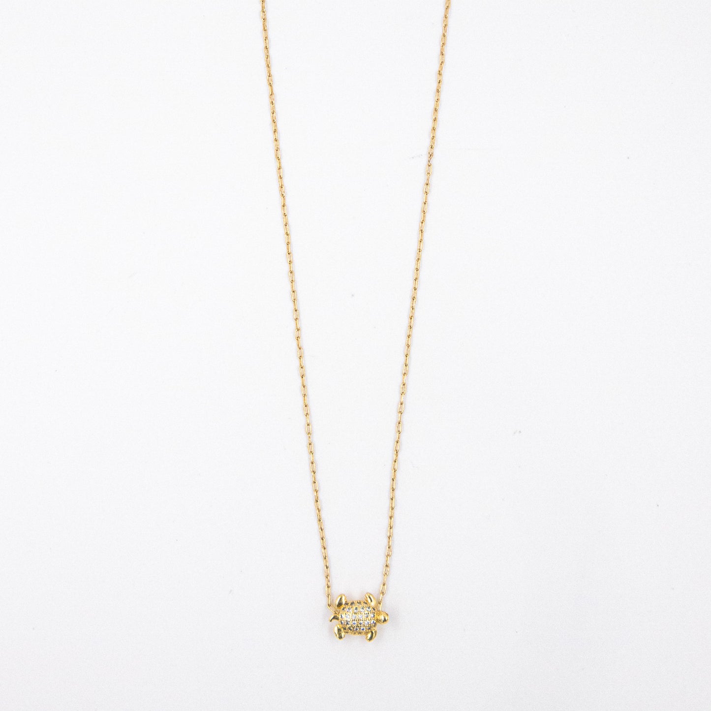 Collar tortuga