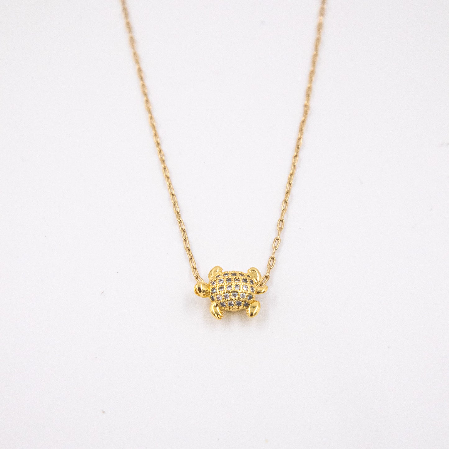 Collar tortuga