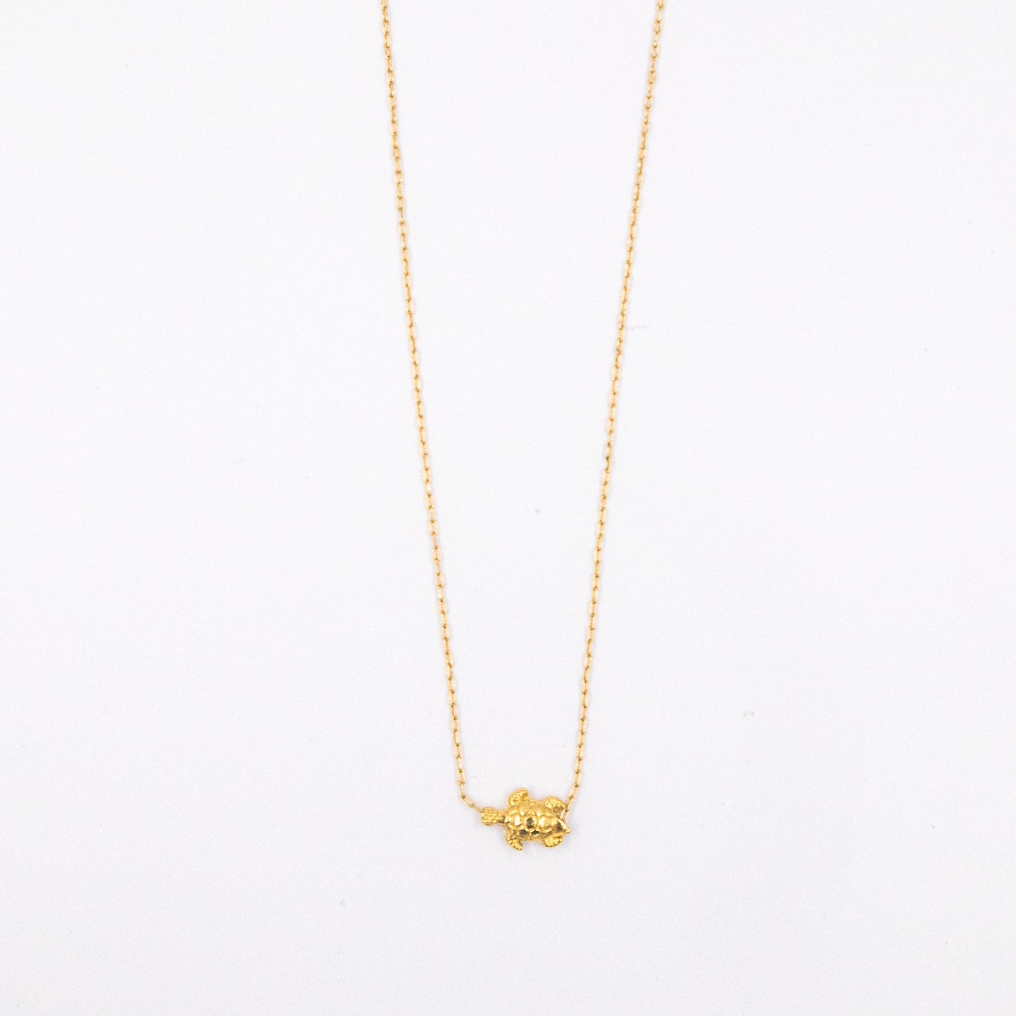 Collar tortuga
