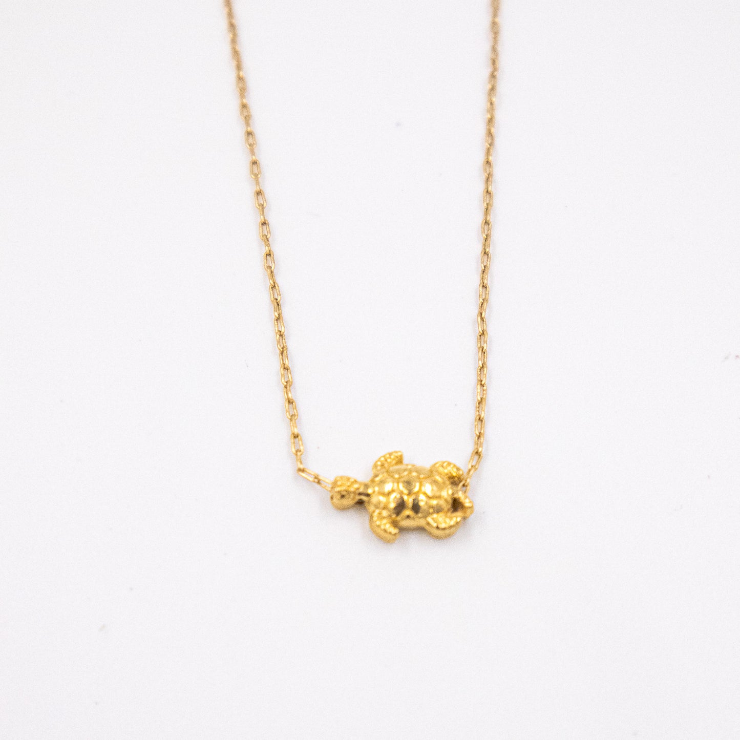 Collar tortuga
