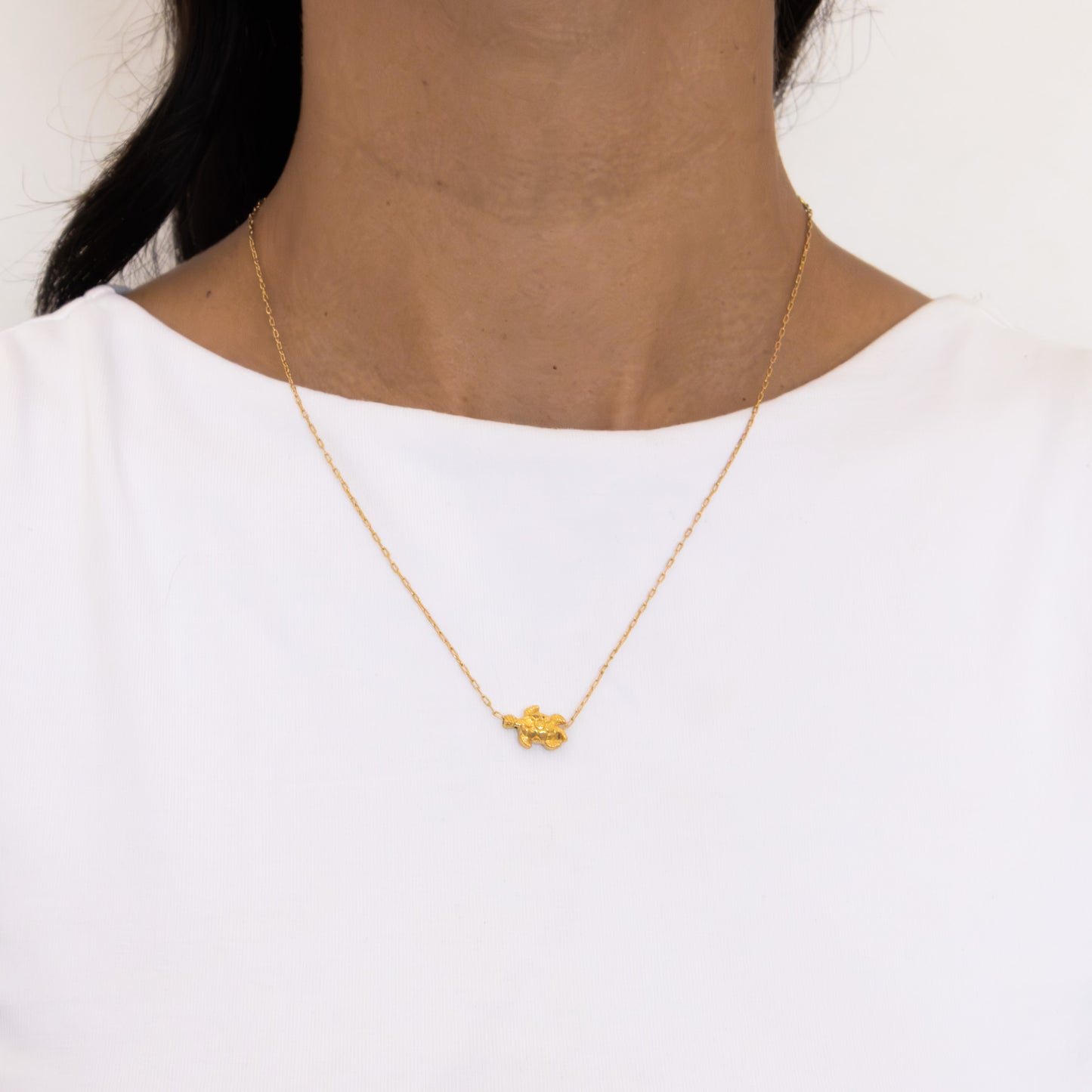 Collar tortuga