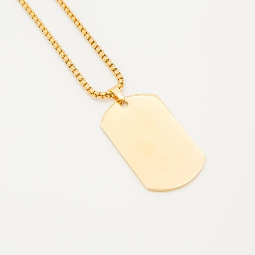 Collar Placa ID Lisa